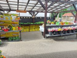 Laden 1