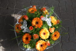 Geschenk 3