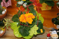 Geschenk 5